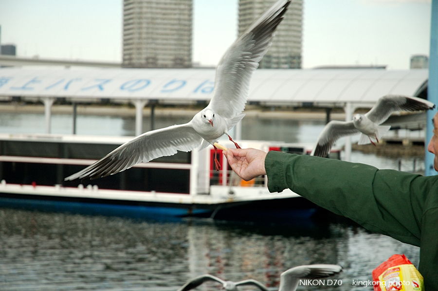 Odaiba 03.jpg - 台場